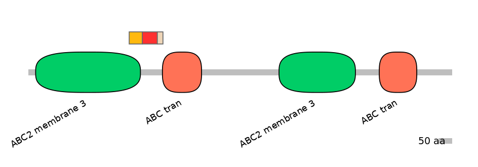 BtaEX6091177-INC