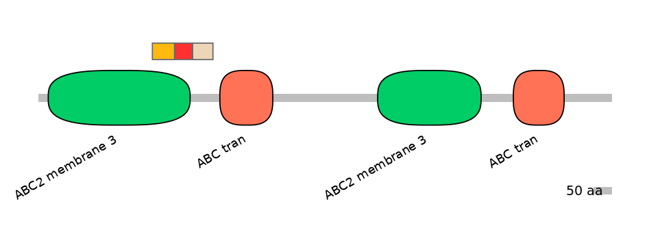 BtaEX6091178-INC