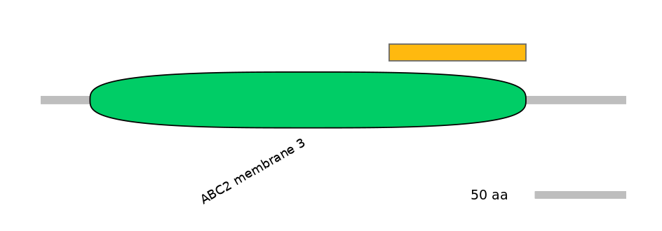 BtaEX6091180-EXC