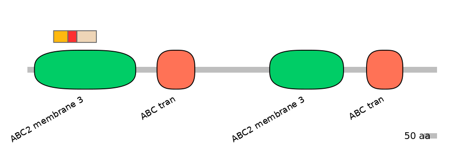 BtaEX6091182-INC