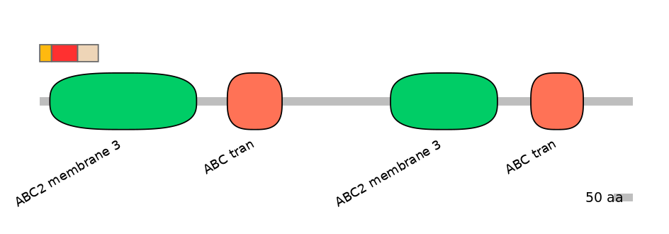 BtaEX6091184-INC