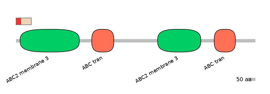 BtaEX6091185-INC