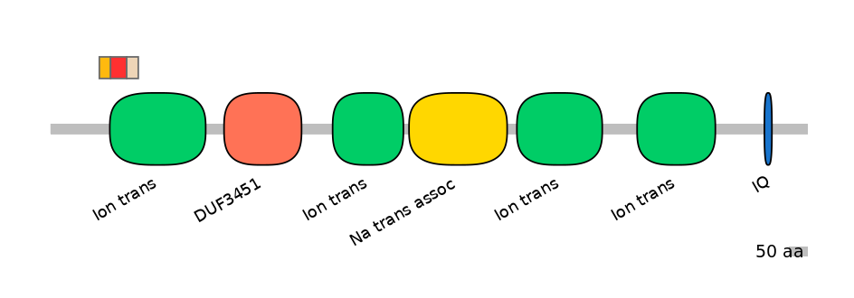 BtaEX6093421-INC
