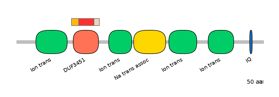 BtaEX6093428-INC