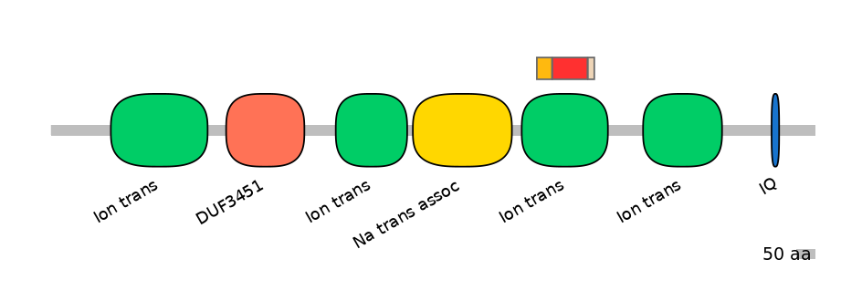 BtaEX6093437-INC