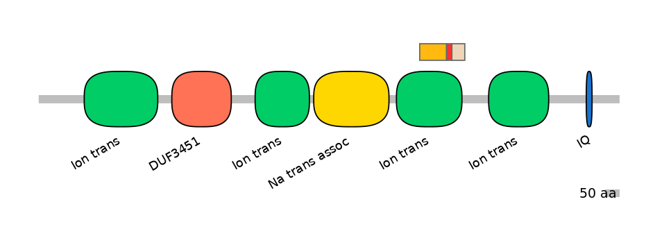 BtaEX6093438-INC