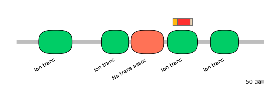 BtaEX6093485-INC