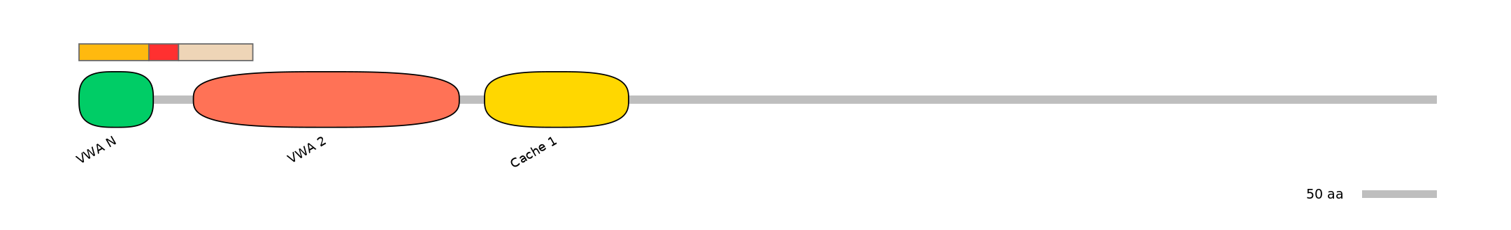 BtaEX6094543-INC