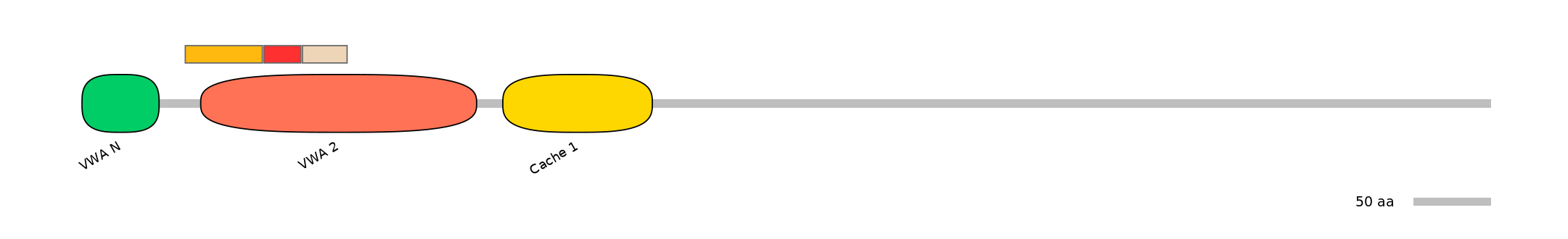 BtaEX6094545-INC