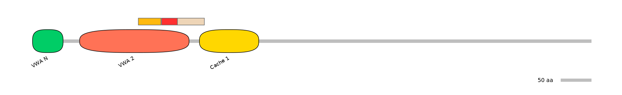 BtaEX6094548-INC