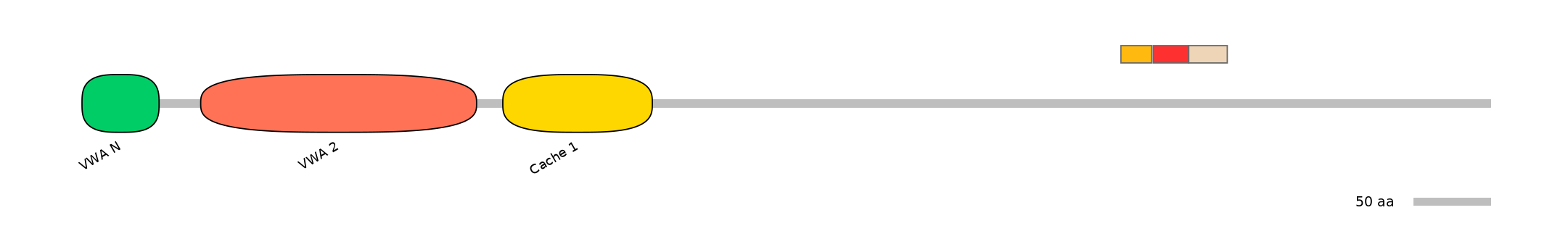 BtaEX6094563-INC