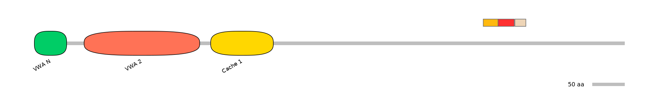 BtaEX6094564-INC
