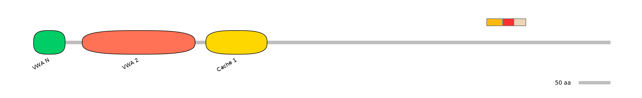 BtaEX6094565-INC