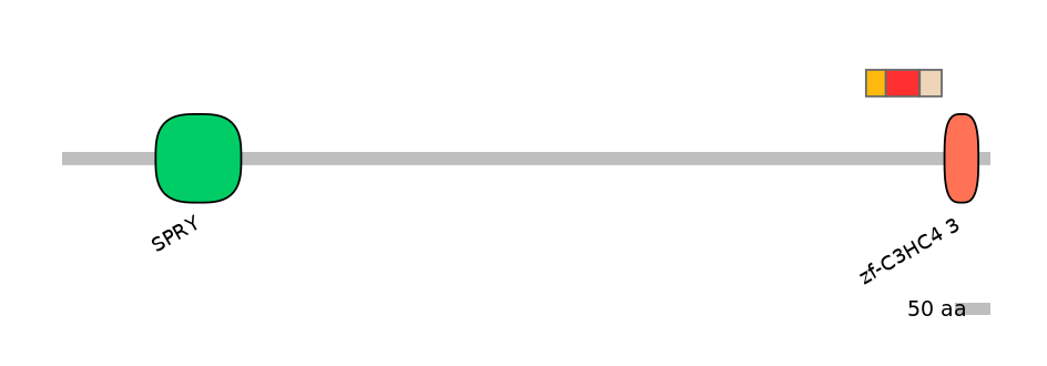 BtaEX6095362-INC