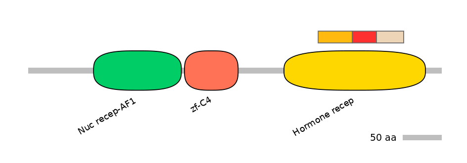 BtaEX6096859-INC