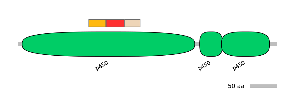 BtaEX6098273-INC