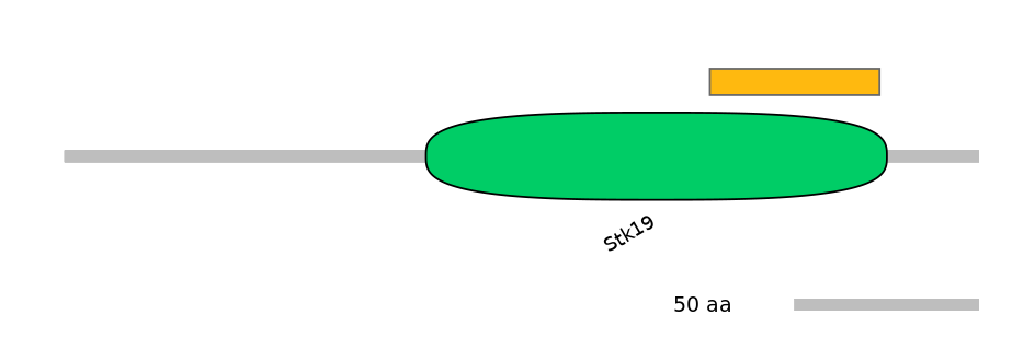 BtaEX6098278-EXC