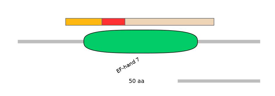 BtaEX6098513-INC