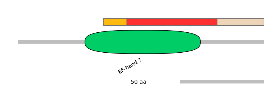 BtaEX6098514-INC