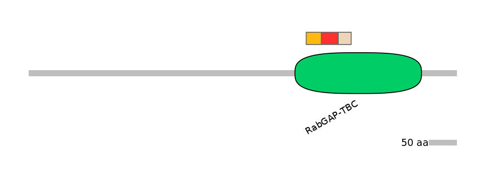 BtaEX6099823-INC