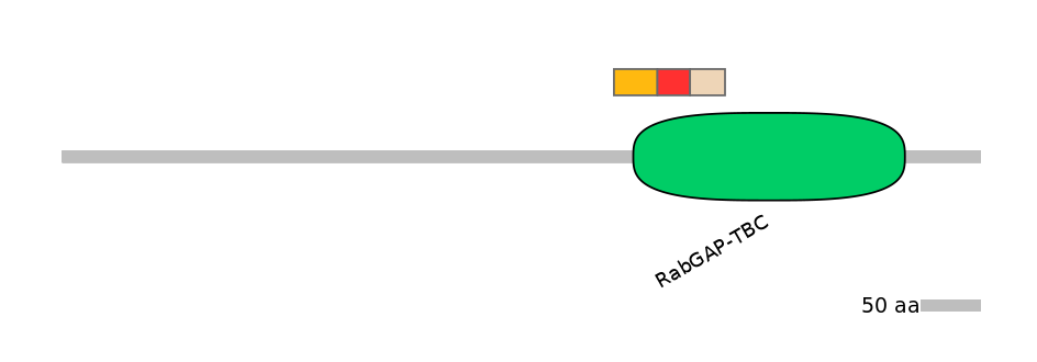 BtaEX6099824-INC