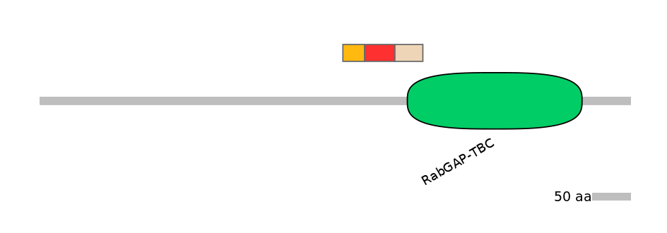 BtaEX6099826-INC