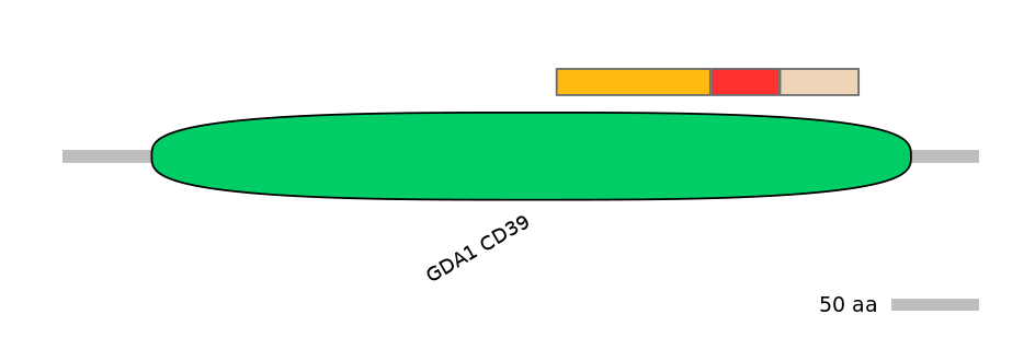 BtaEX6099909-INC