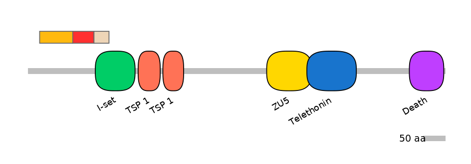BtaEX6105505-INC
