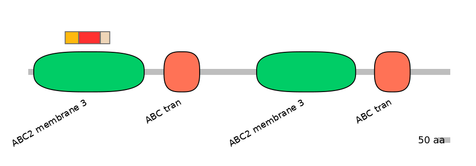 BtaEX6107998-INC