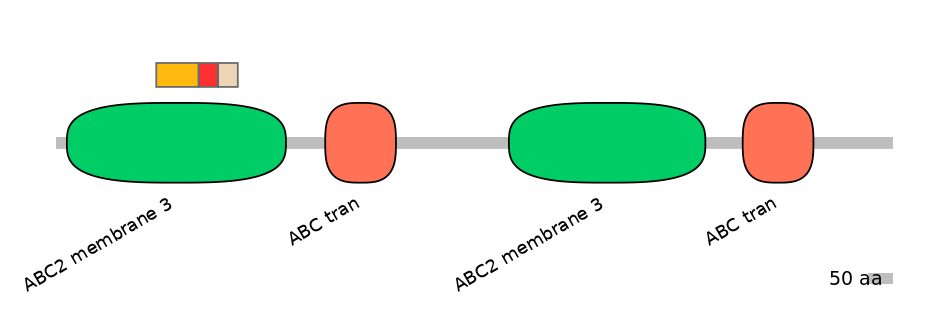 BtaEX6107999-INC