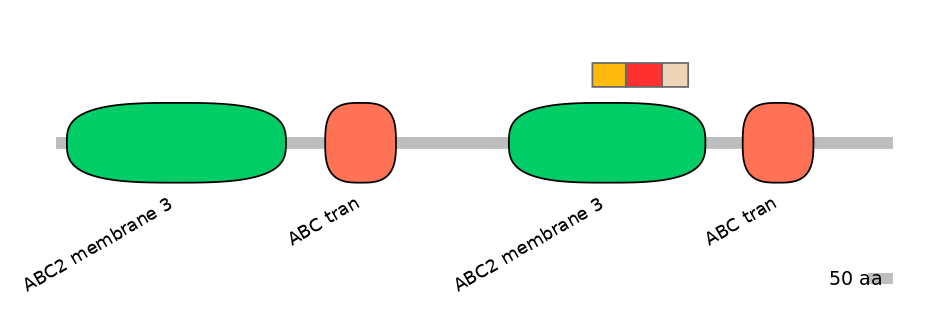 BtaEX6108011-INC