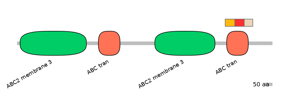 BtaEX6108017-INC