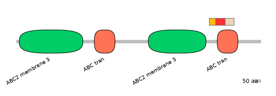BtaEX6108018-INC