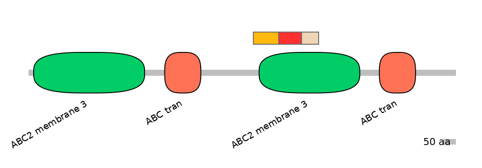 BtaEX6108020-INC