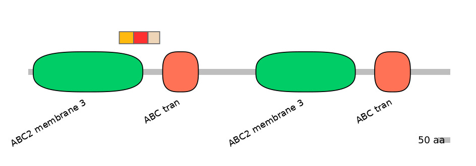BtaEX6108029-INC