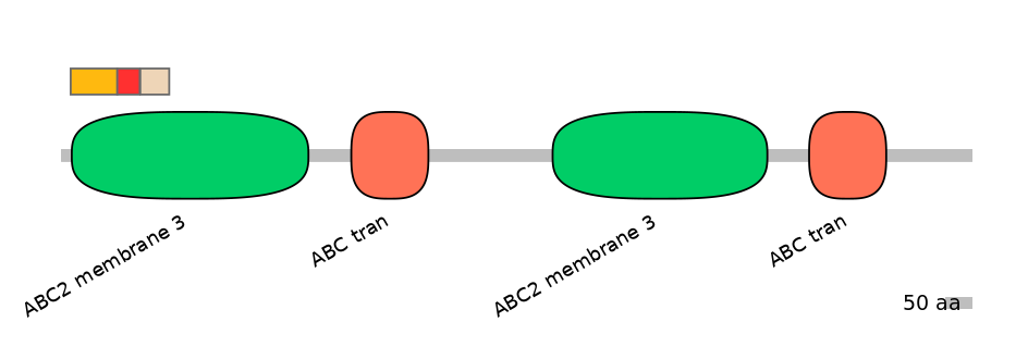 BtaEX6108035-INC