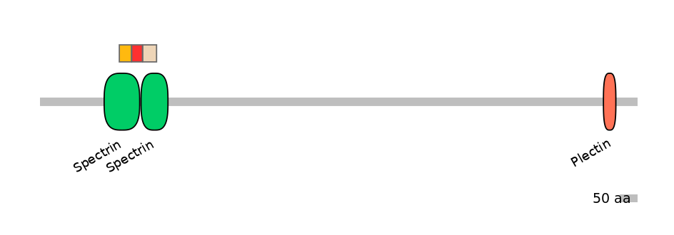 BtaEX6108379-INC