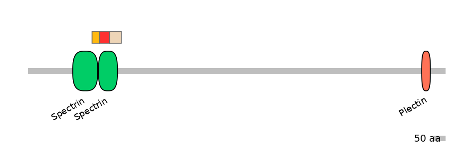 BtaEX6108380-INC