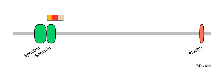 BtaEX6108381-INC