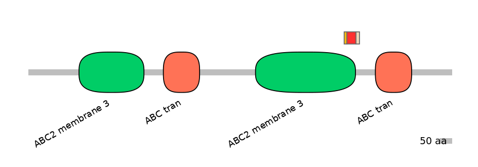BtaEX6109080-INC