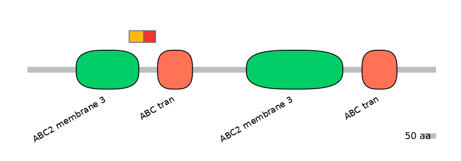 BtaEX6109085-INC