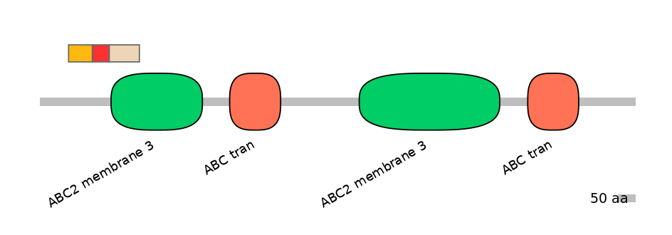 BtaEX6109089-INC