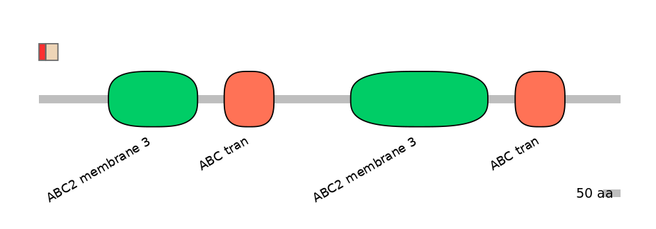 BtaEX6109093-INC