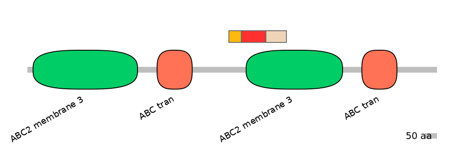 BtaEX6109105-INC