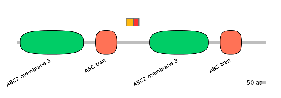 BtaEX6109108-INC