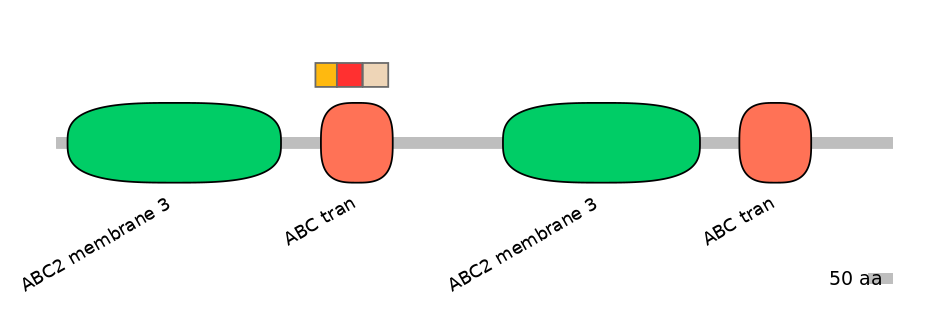 BtaEX6109112-INC