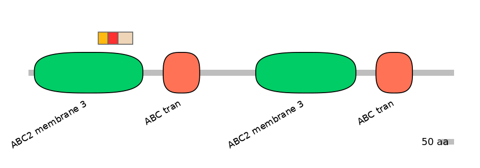 BtaEX6109117-INC