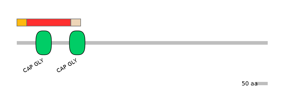 BtaEX6110179-INC