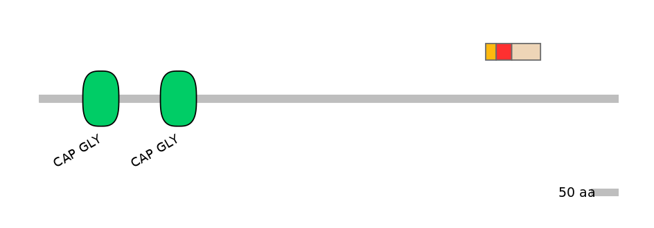 BtaEX6110187-INC