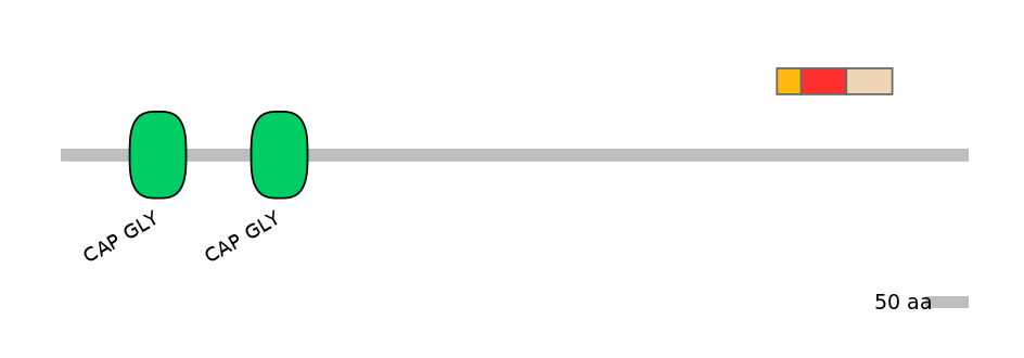 BtaEX6110188-INC